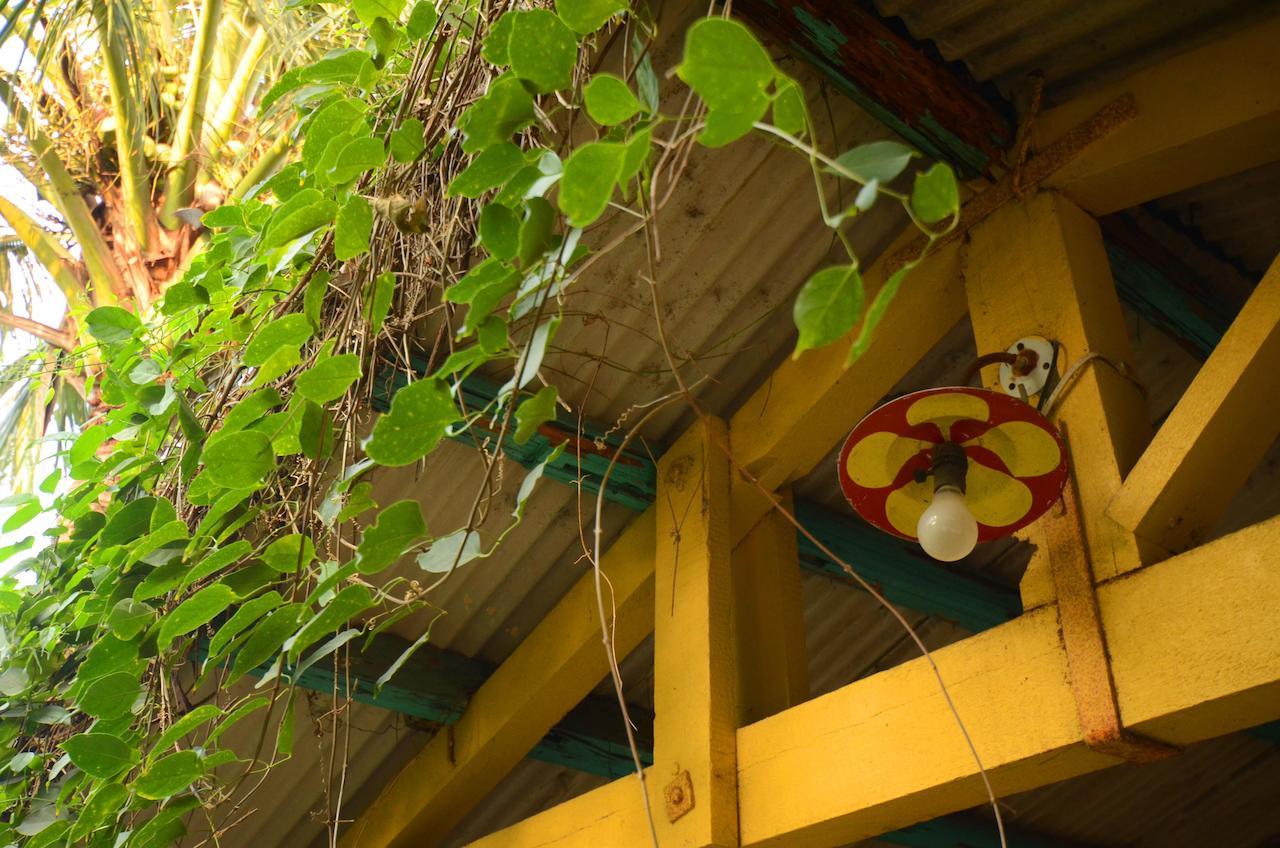 Sky Gift Traditional Farm B&B Dongshi  Dış mekan fotoğraf